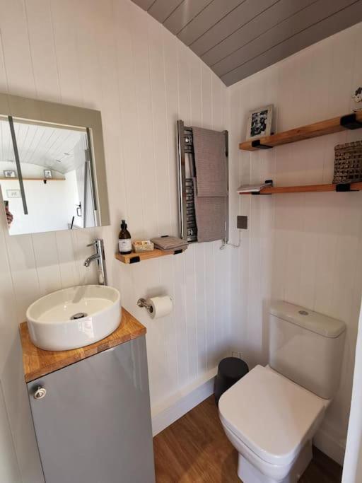 Elvan Farm Shepherd'S Hut Villa Exeter Exteriör bild