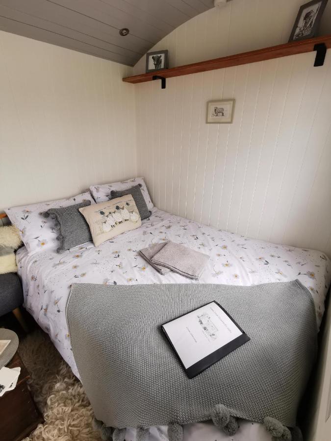 Elvan Farm Shepherd'S Hut Villa Exeter Exteriör bild